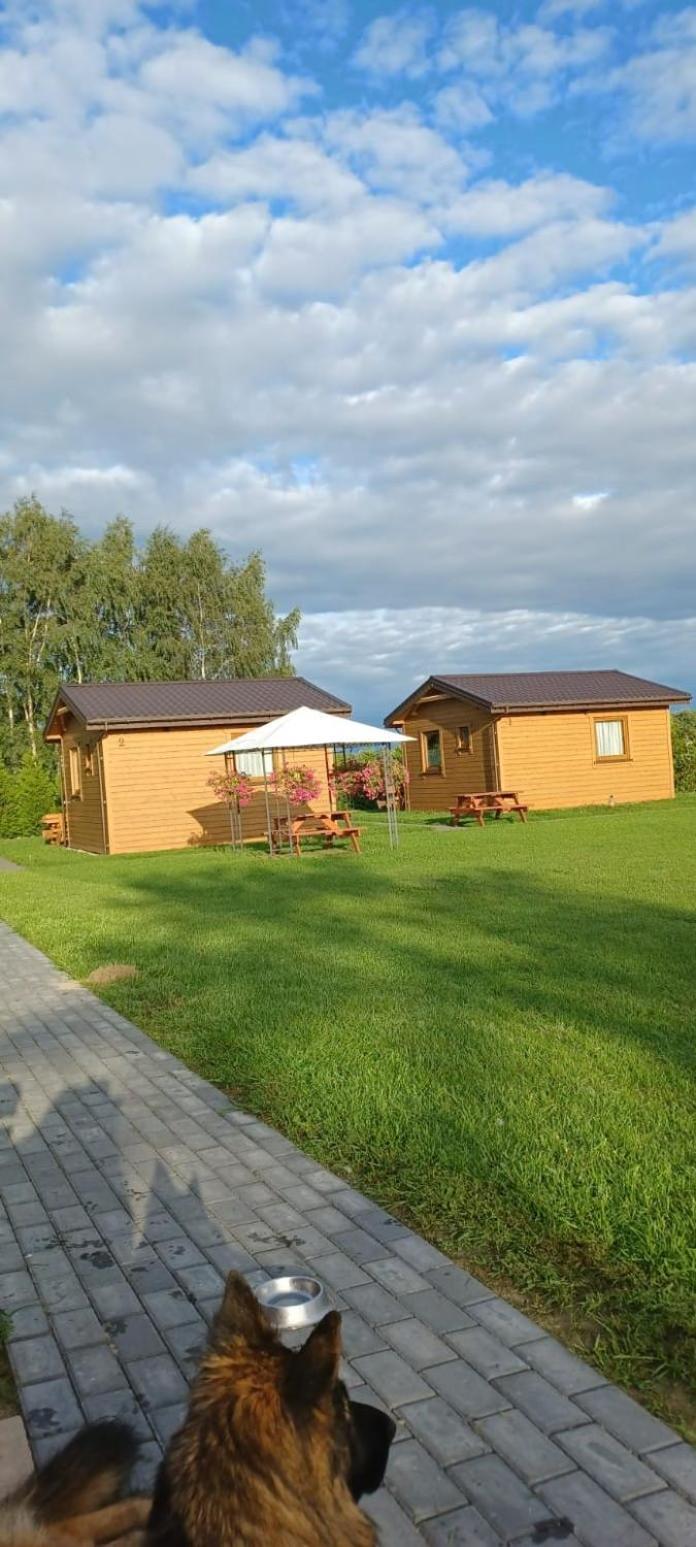 Domki Pod Brzozami Сарбиново Экстерьер фото